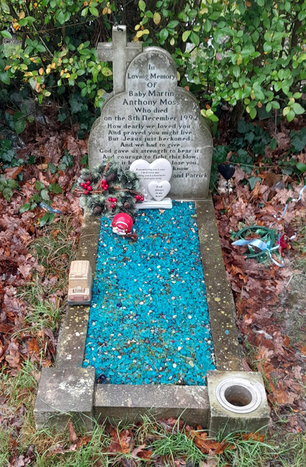 moss-before
